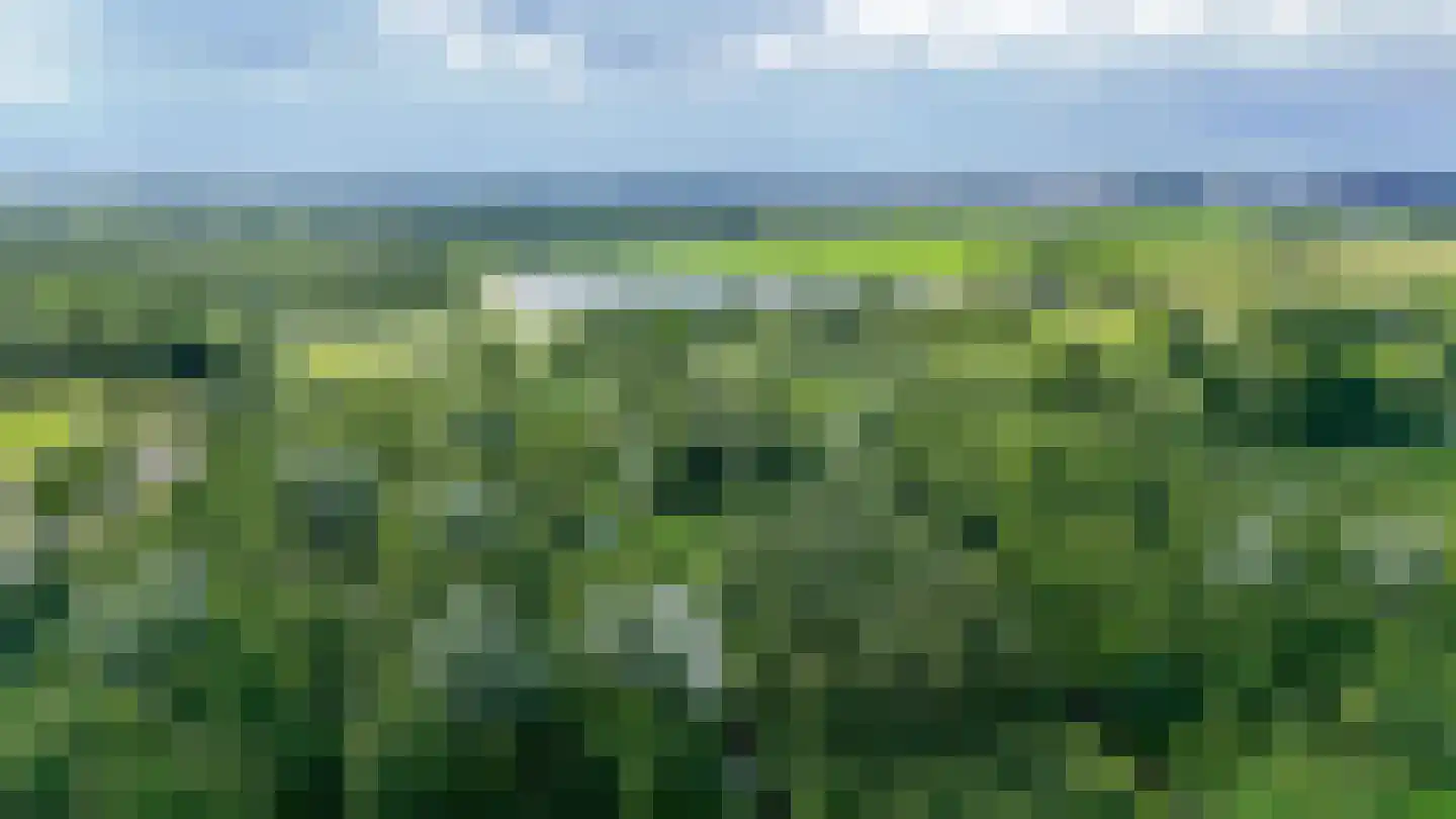 Hoge Vijver 47 Krimpen aan den IJssel foto 3