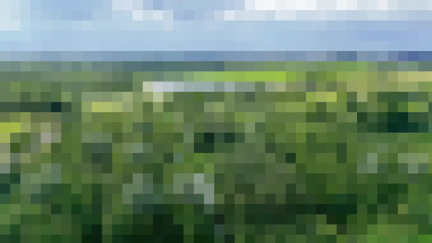 Hoge Vijver 47 Krimpen aan den IJssel thumbnail 38