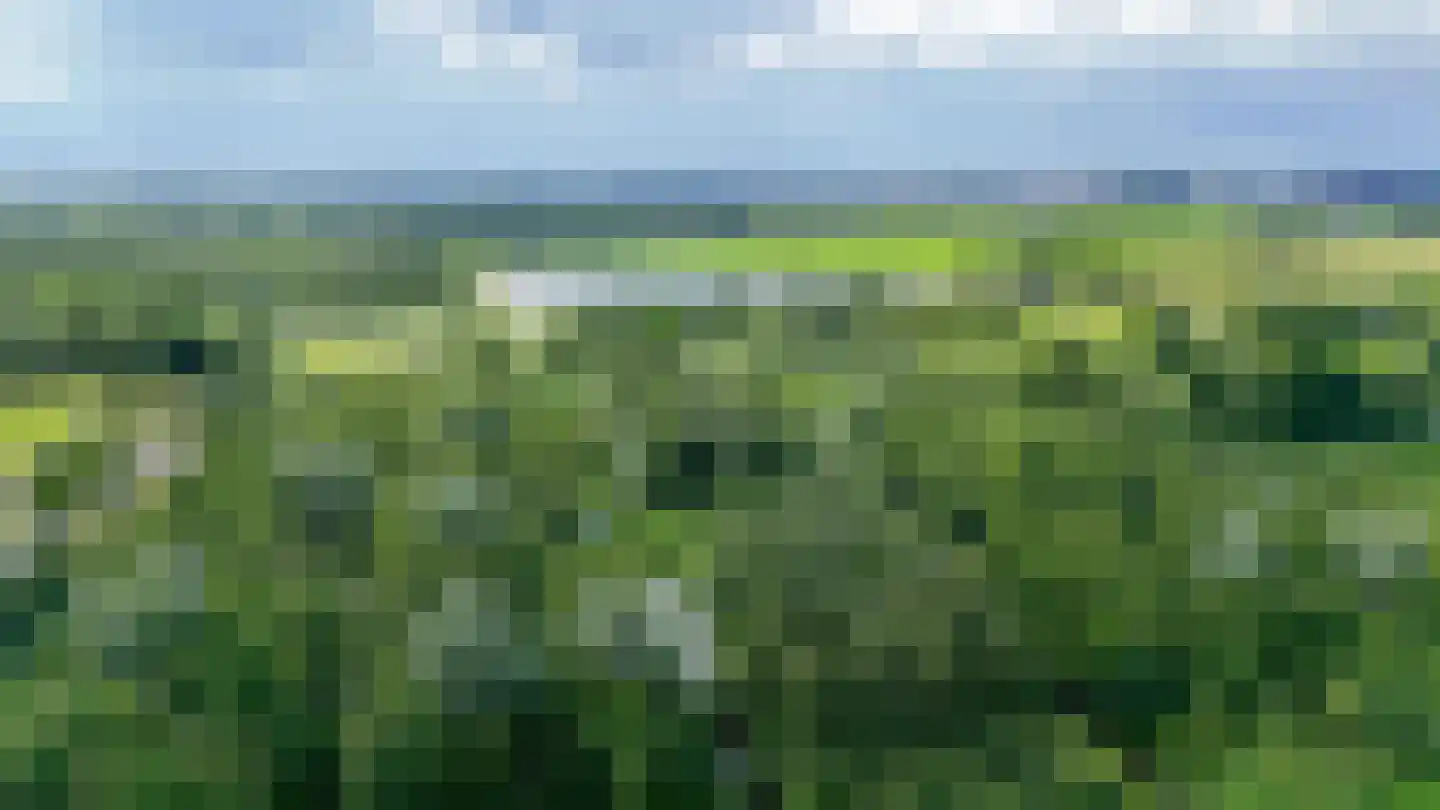 Hoge Vijver 47 Krimpen aan den IJssel thumbnail 39