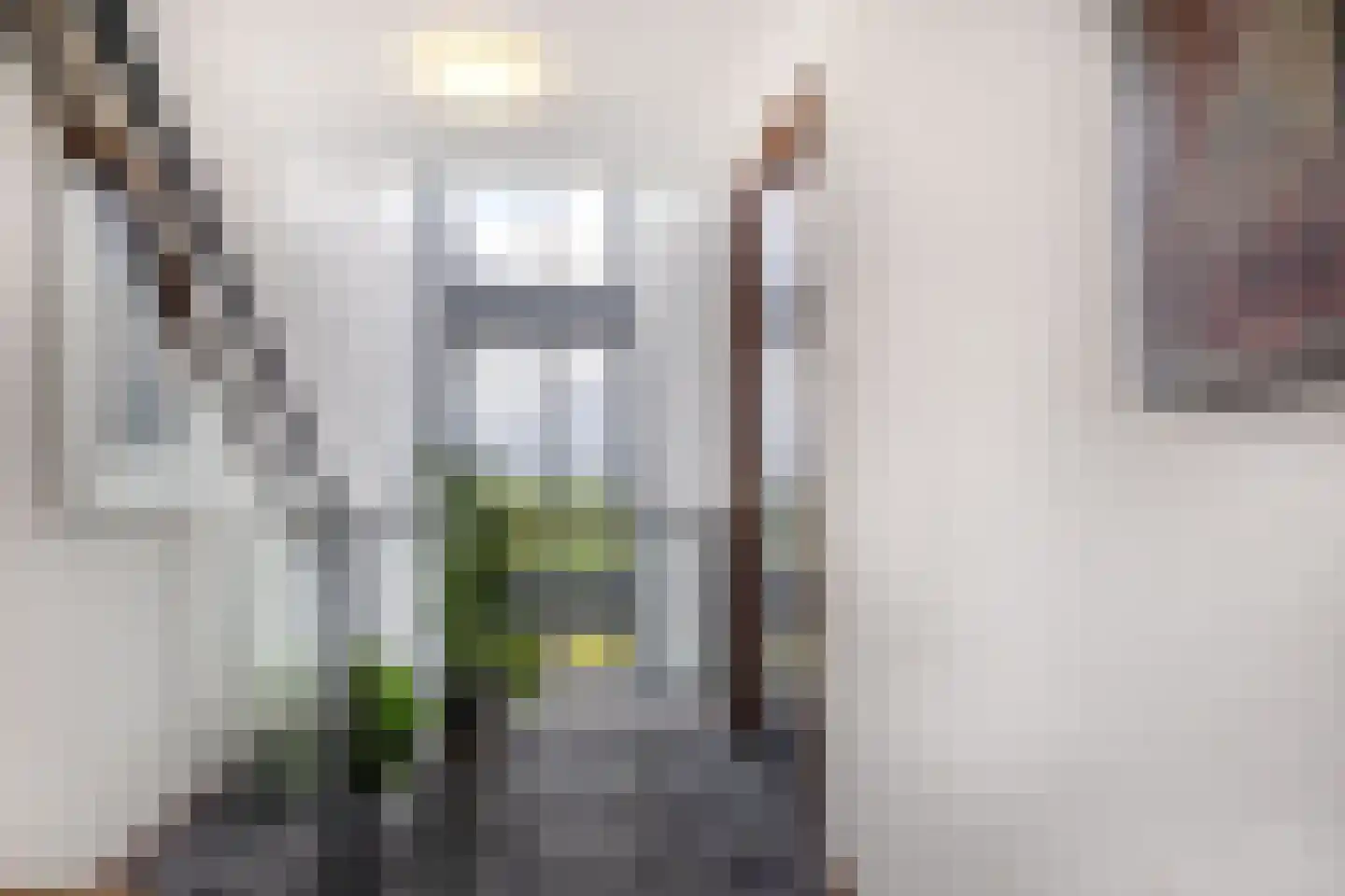 Hoge Vijver 47 Krimpen aan den IJssel thumbnail 8