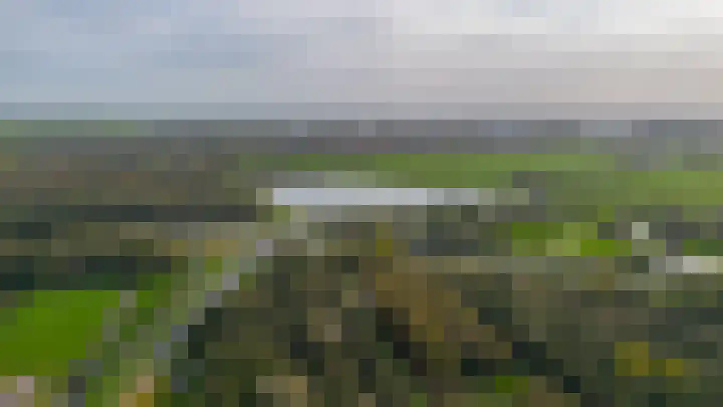 Hoge Vijver 53 Krimpen aan den IJssel thumbnail 36