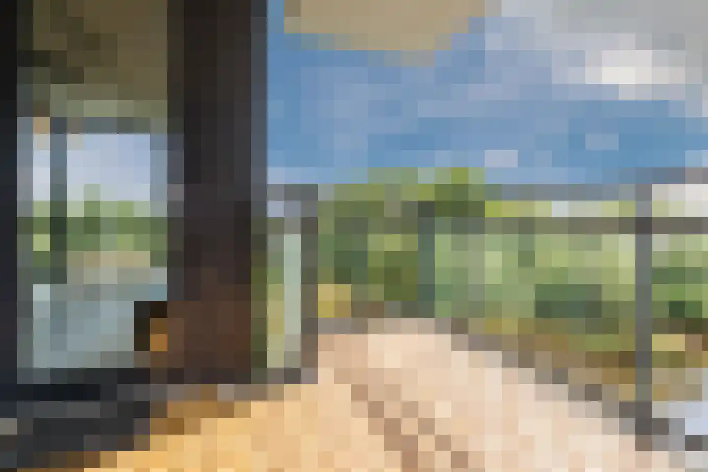 Hoge Vijver 64 Krimpen aan den IJssel thumbnail 10