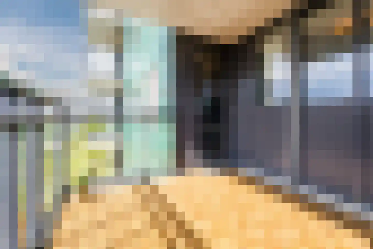 Hoge Vijver 64 Krimpen aan den IJssel thumbnail 11