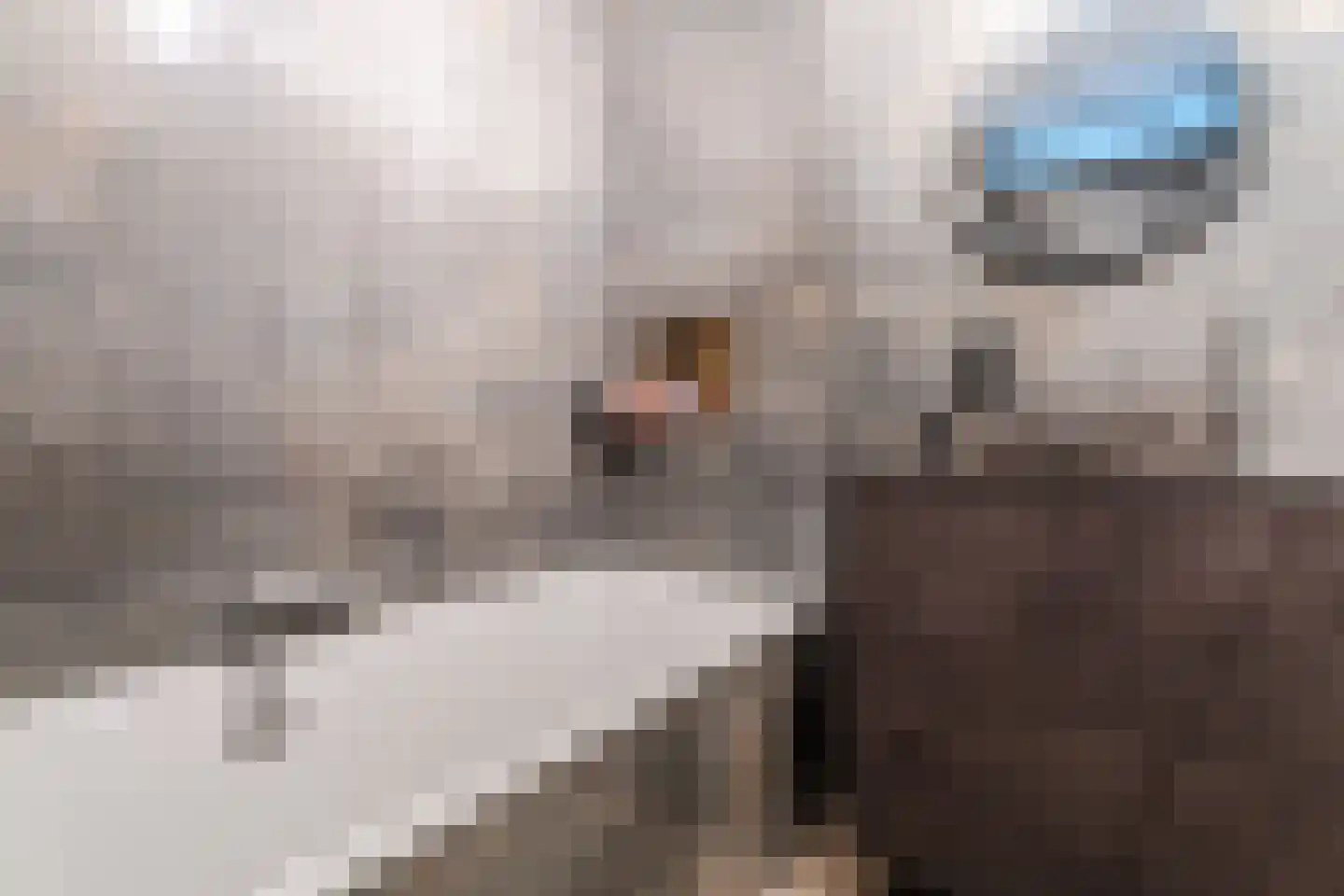 Hoge Vijver 64 Krimpen aan den IJssel thumbnail 20