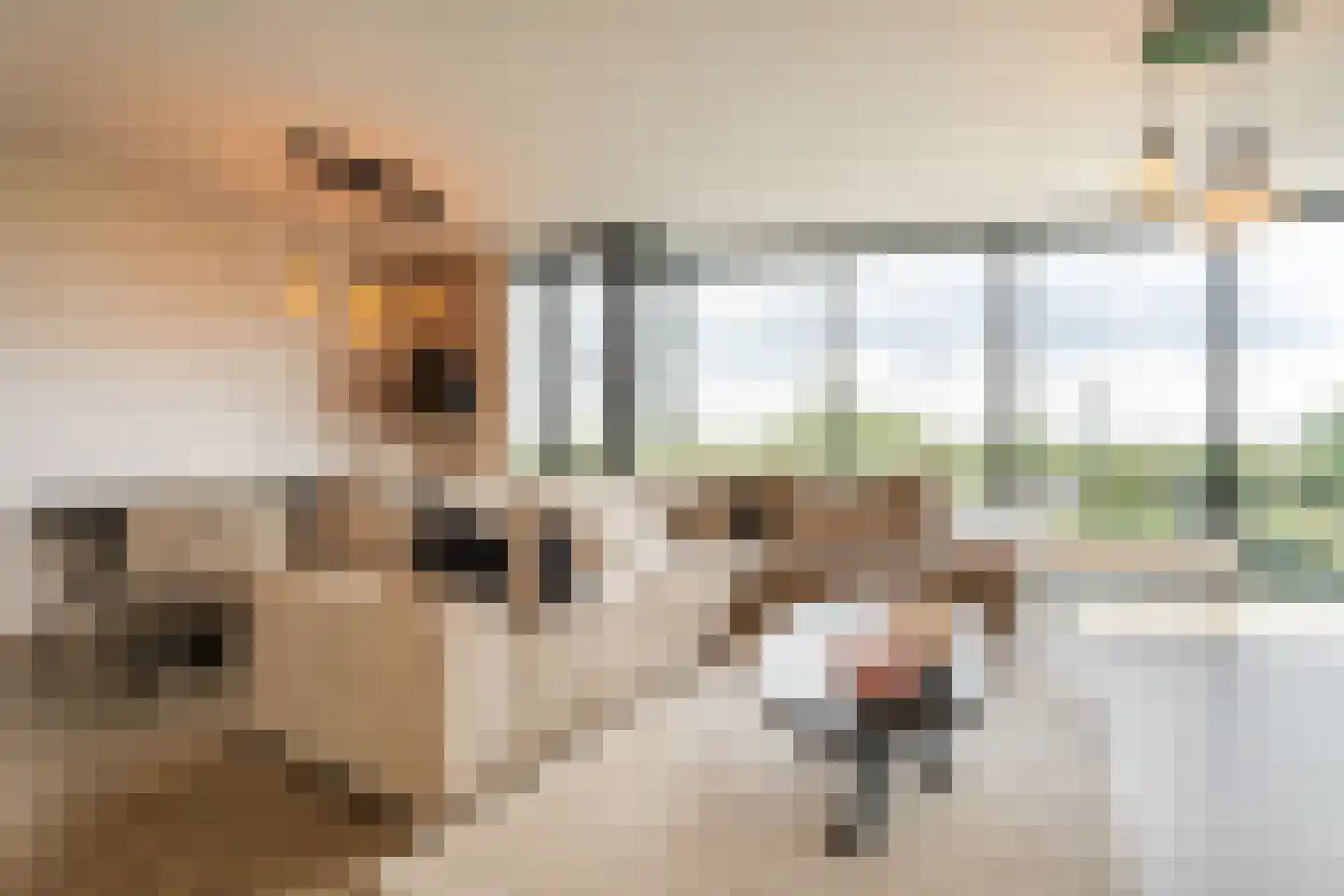 Hoge Vijver 64 Krimpen aan den IJssel thumbnail 6