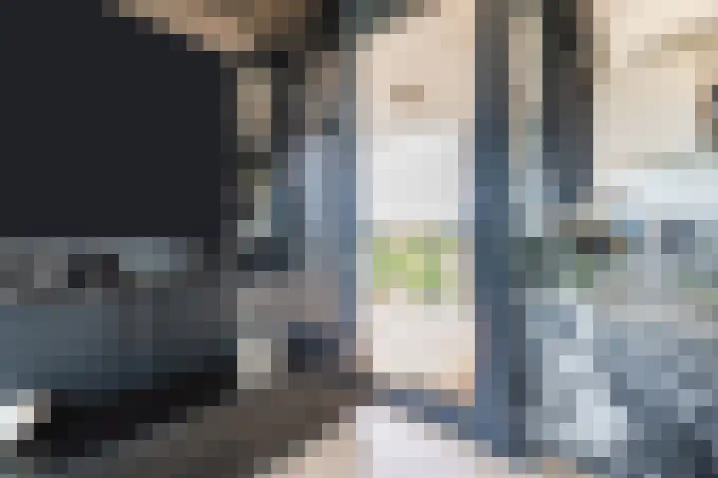 Hoge Vijver 64 Krimpen aan den IJssel thumbnail 8