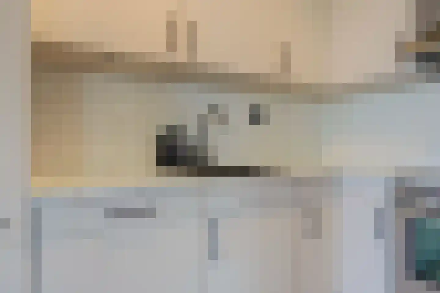 Hoge Vijver 66 Krimpen aan den IJssel thumbnail 13