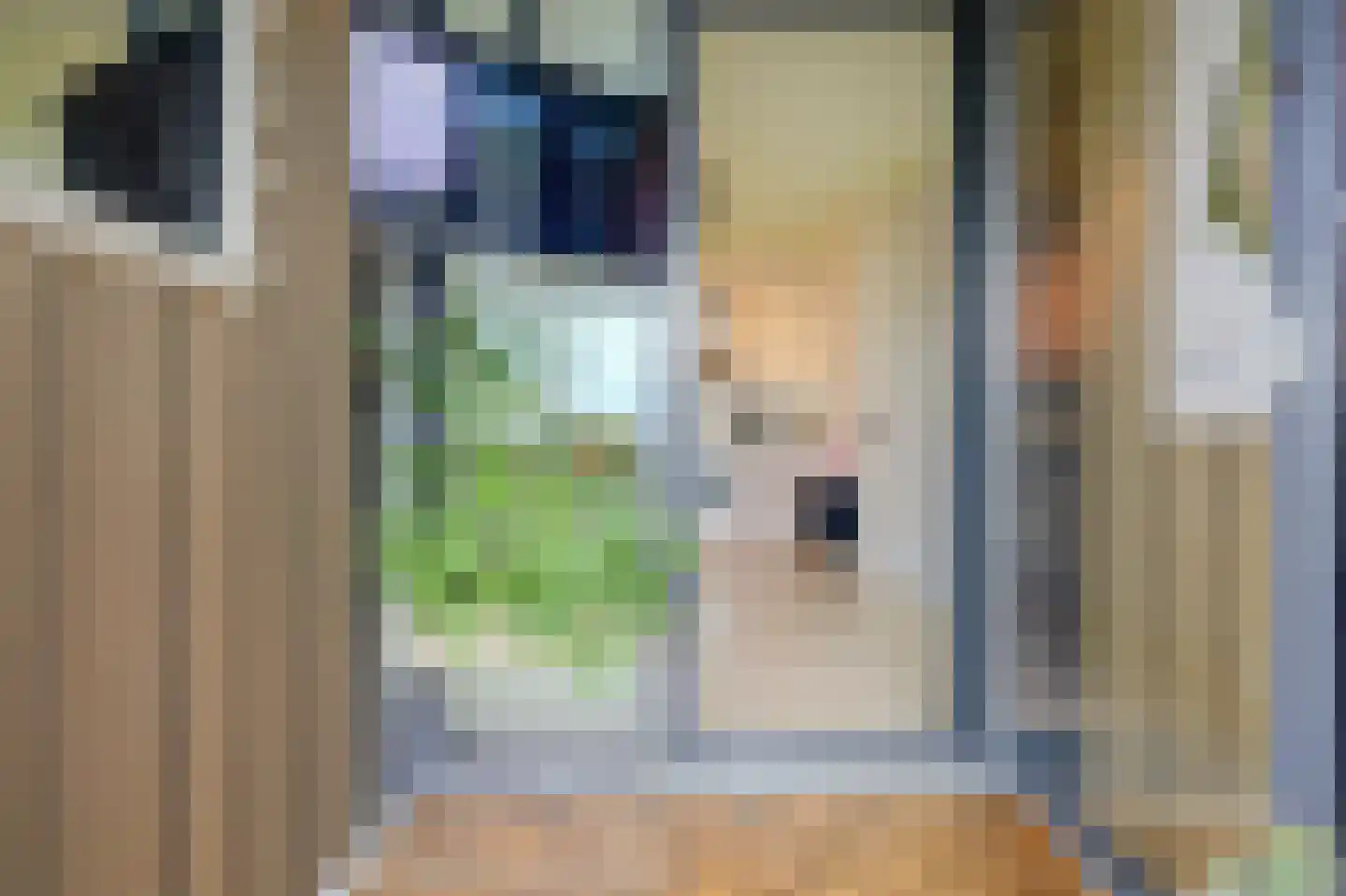 Hoge Vijver 66 Krimpen aan den IJssel thumbnail 18