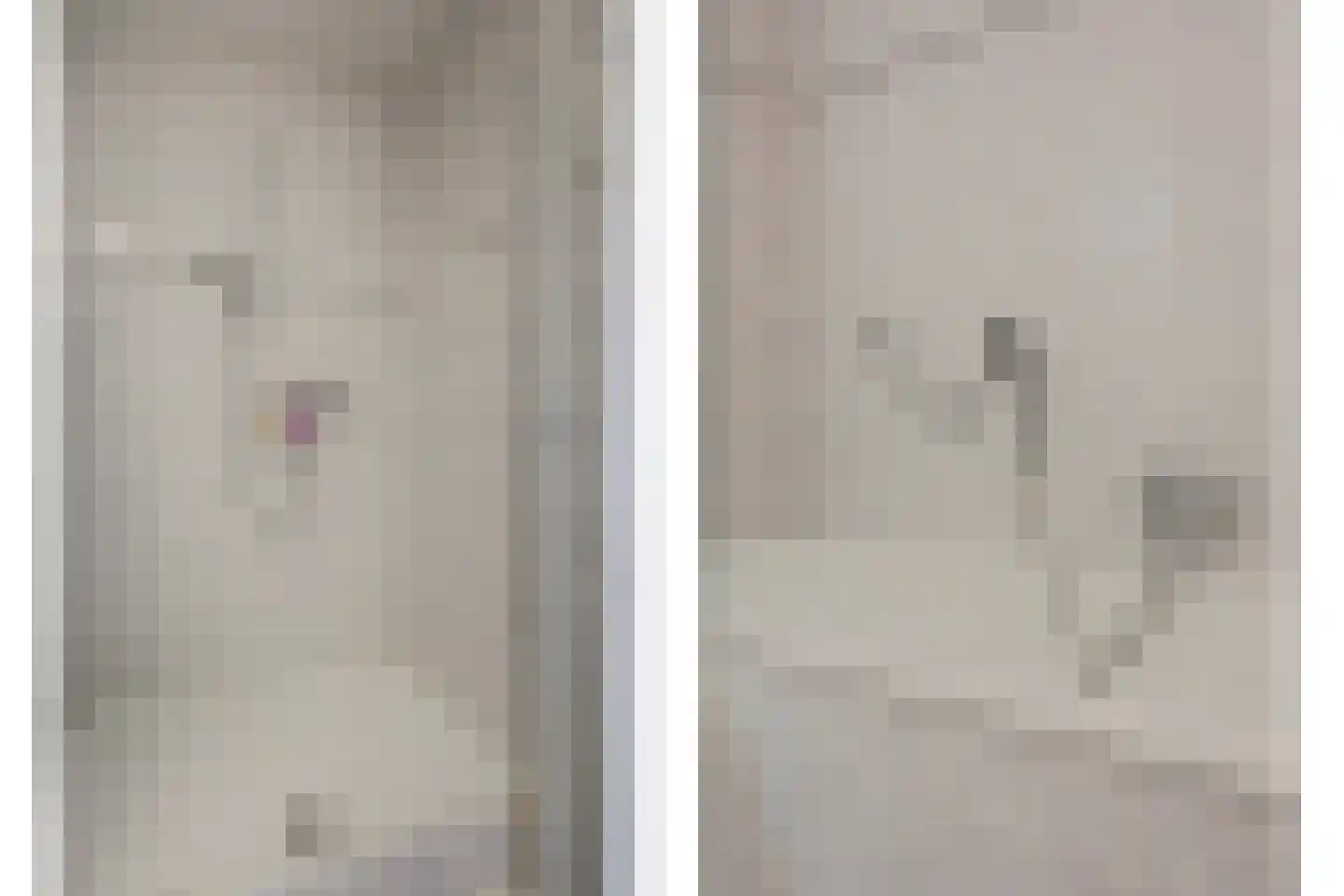 Hoge Vijver 66 Krimpen aan den IJssel thumbnail 33