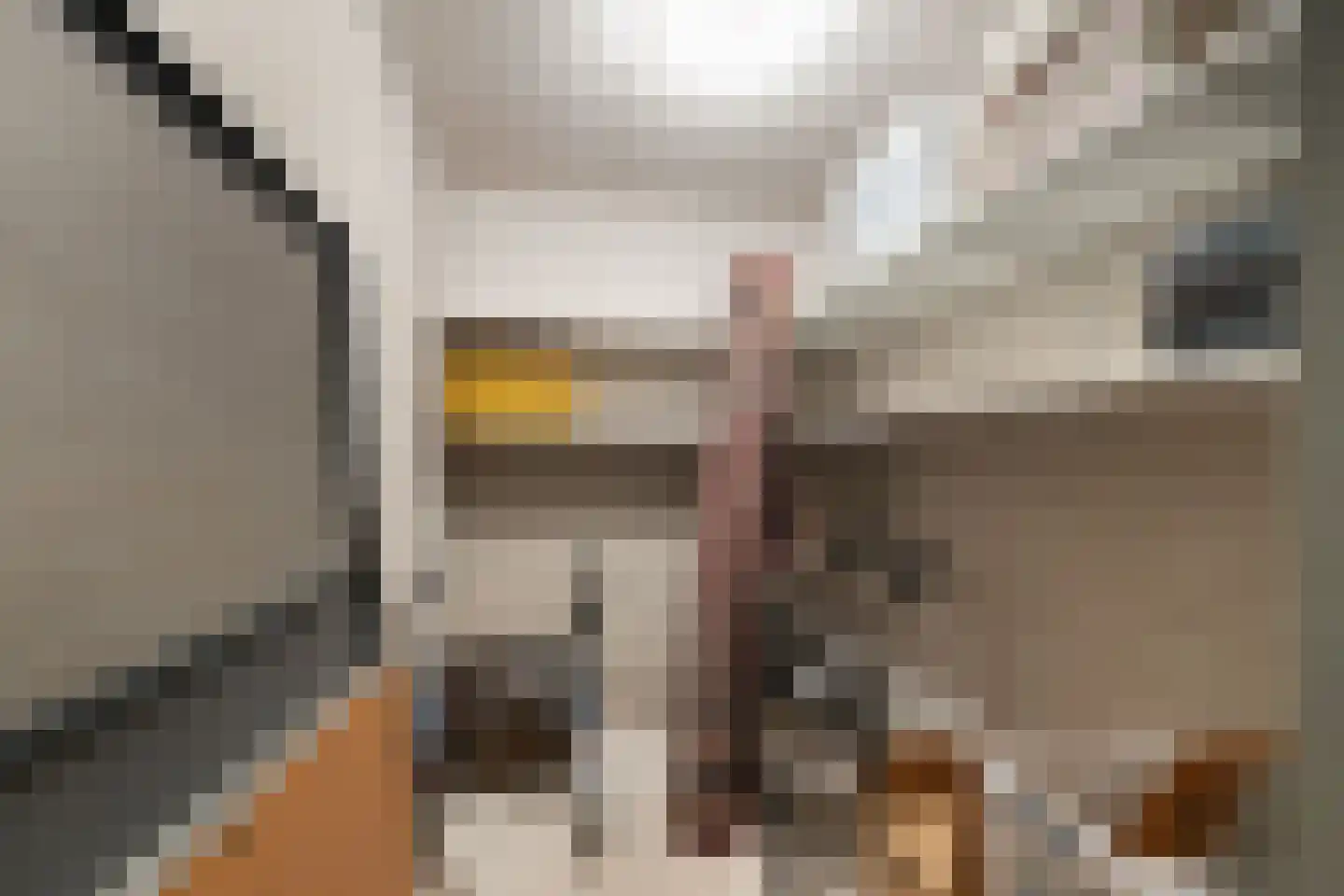 Hoge Vijver 71 Krimpen aan den IJssel thumbnail 24