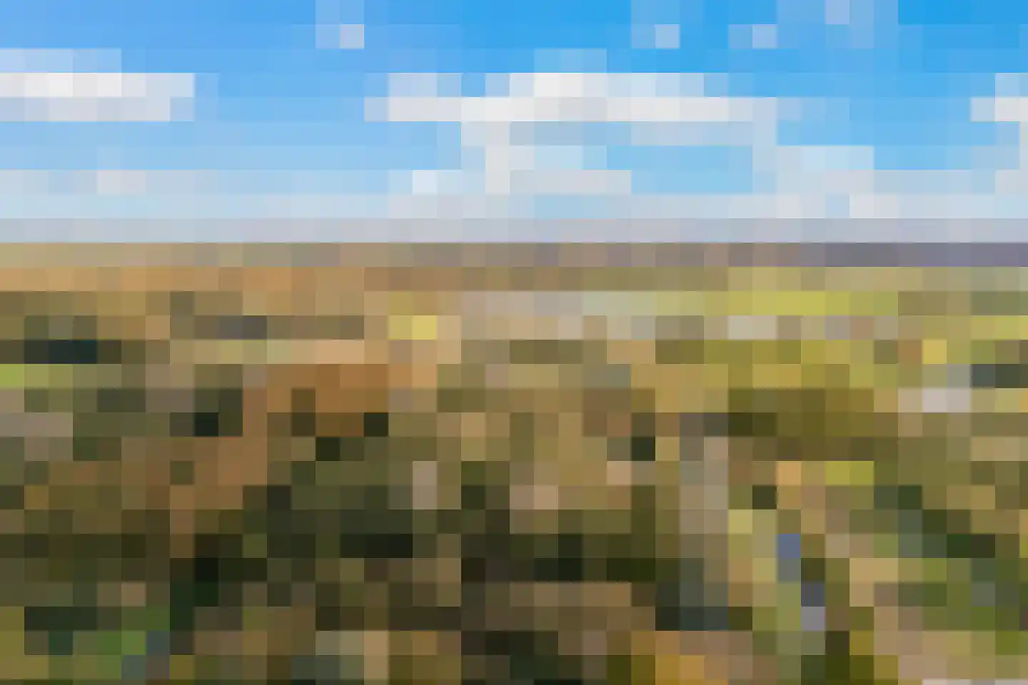 Hoge Vijver 71 Krimpen aan den IJssel thumbnail 31