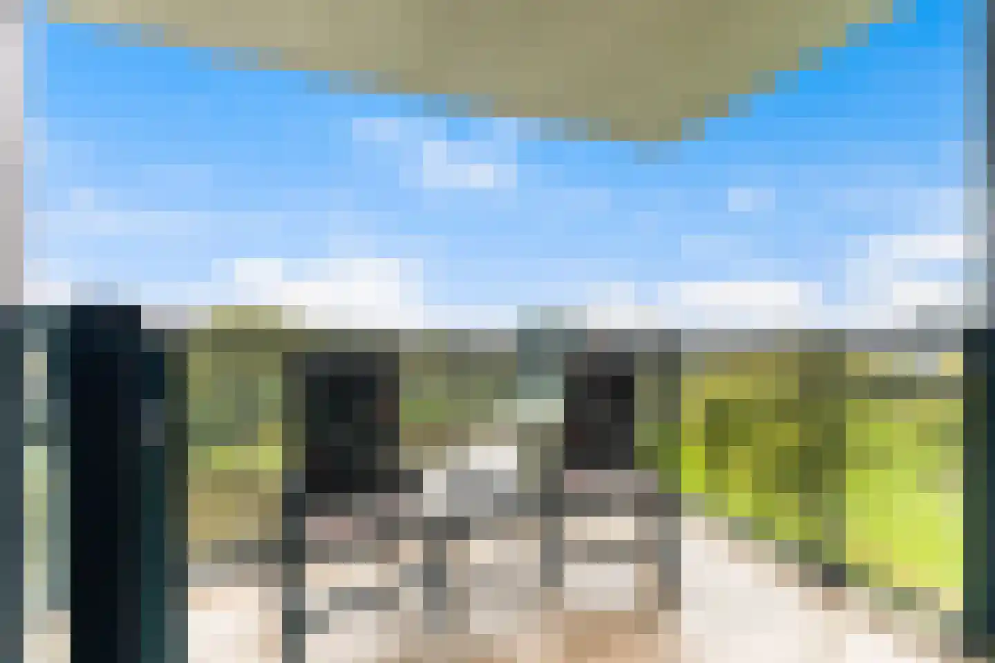 Hoge Vijver 71 Krimpen aan den IJssel thumbnail 4