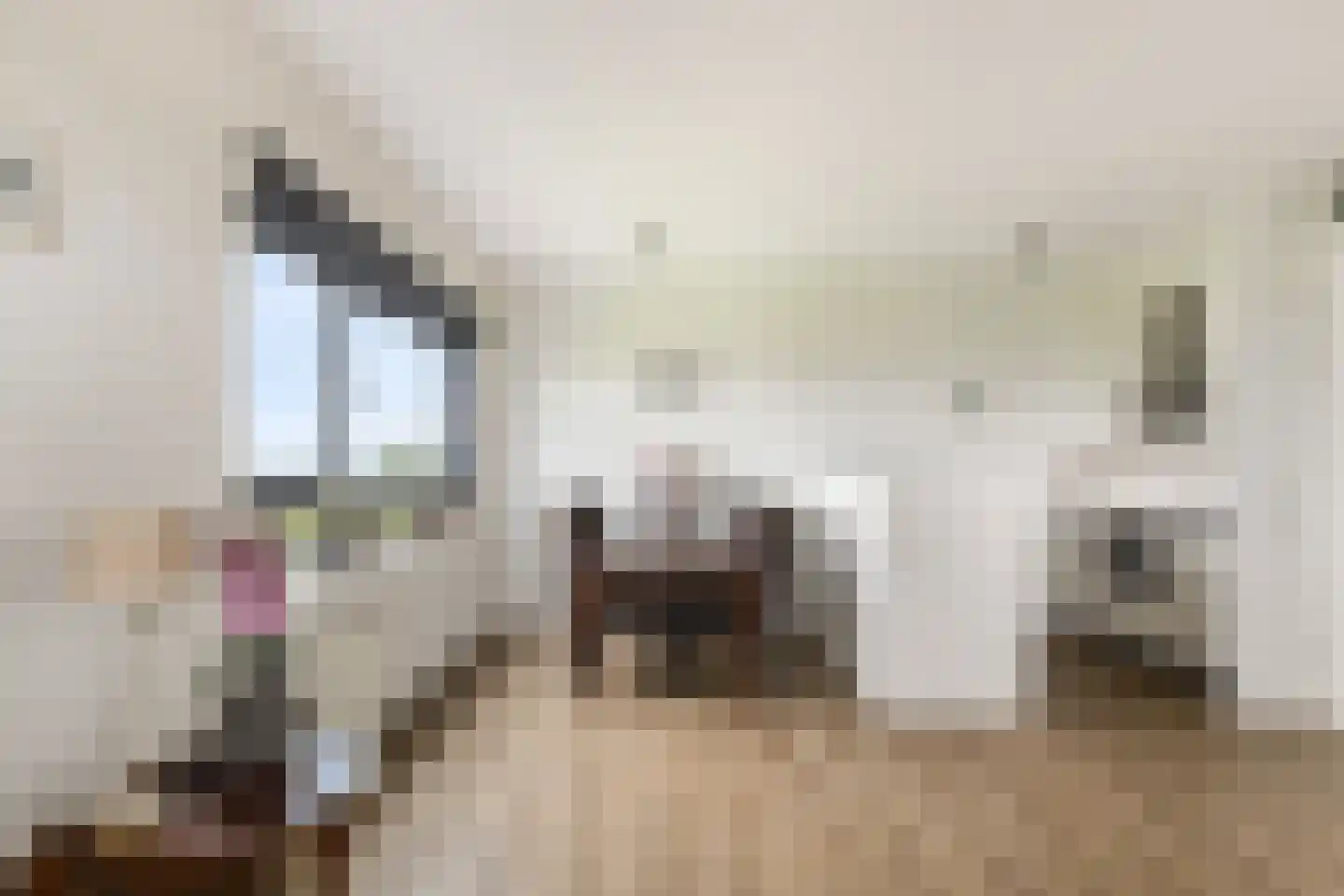 Hoge Vijver 71 Krimpen aan den IJssel thumbnail 6