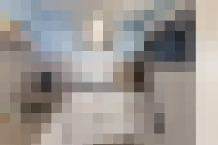 Hoge Vijver 74 Krimpen aan den IJssel thumbnail 12