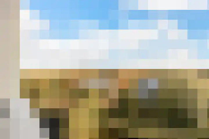 Hoge Vijver 74 Krimpen aan den IJssel thumbnail 15