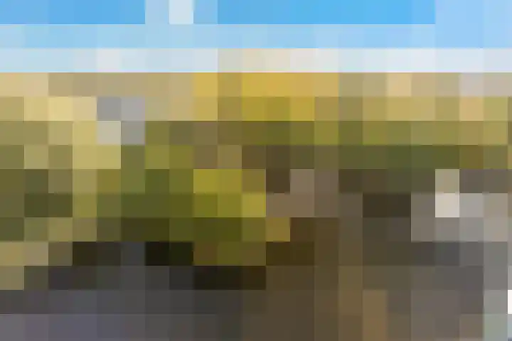 Hoge Vijver 74 Krimpen aan den IJssel thumbnail 16