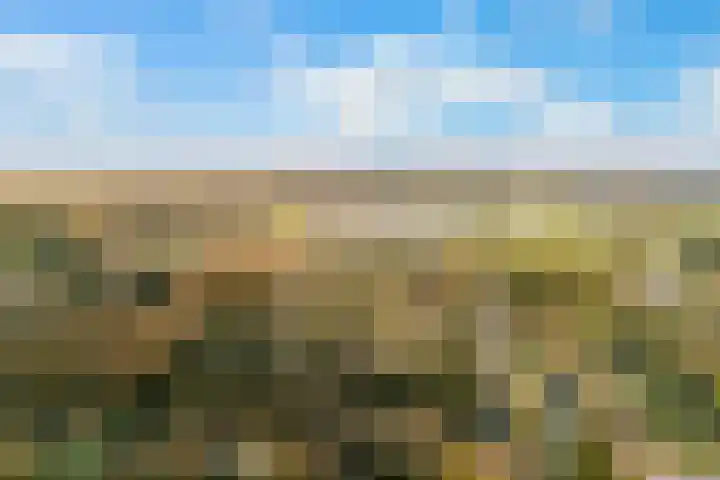 Hoge Vijver 74 Krimpen aan den IJssel foto 2