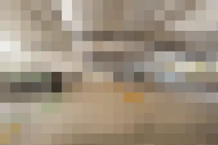 Hoge Vijver 74 Krimpen aan den IJssel thumbnail 33