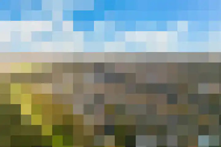 Hoge Vijver 74 Krimpen aan den IJssel thumbnail 39