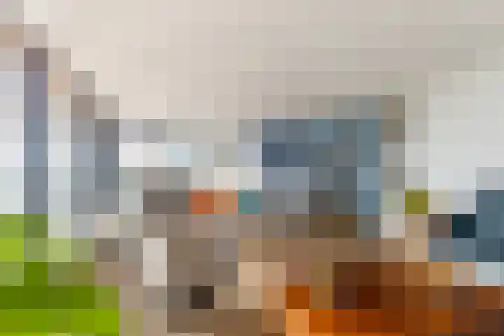 Hoge Vijver 74 Krimpen aan den IJssel thumbnail 5