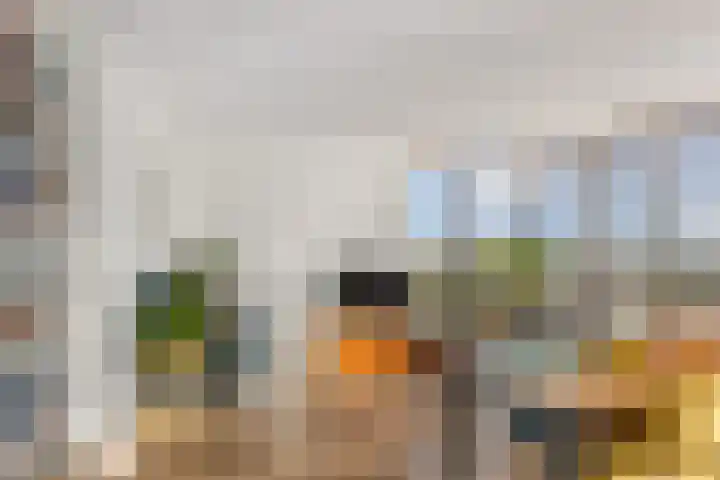 Hoge Vijver 74 Krimpen aan den IJssel thumbnail 6