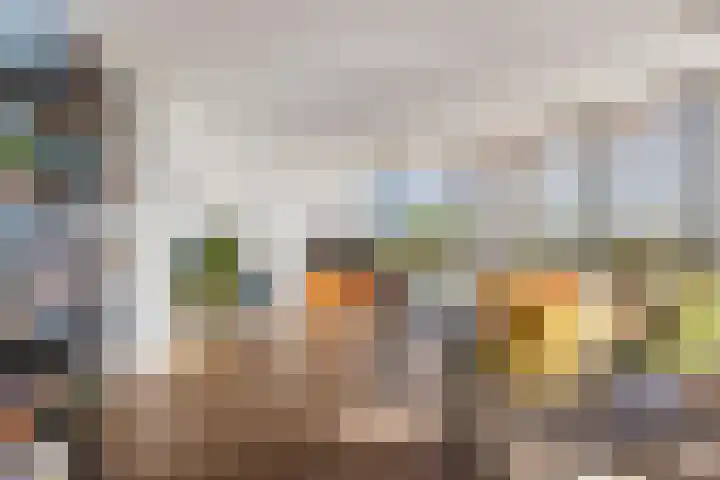 Hoge Vijver 74 Krimpen aan den IJssel thumbnail 7