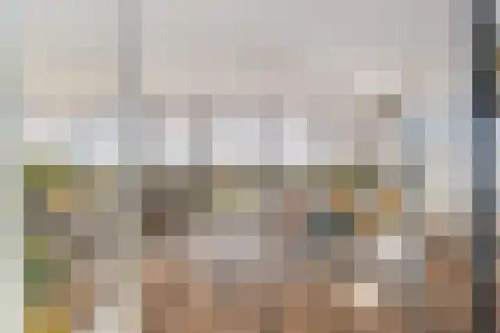 Hoge Vijver 74 Krimpen aan den IJssel thumbnail 8