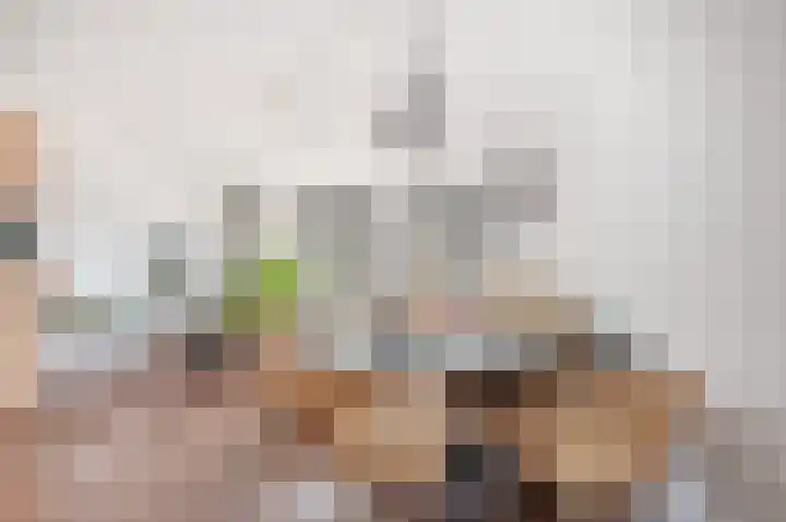 Hoge Vonderstraat 4 a Sint-Oedenrode thumbnail 6