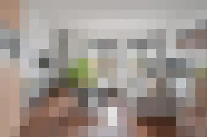 Hoge Vonderstraat 4 a Sint-Oedenrode thumbnail 7