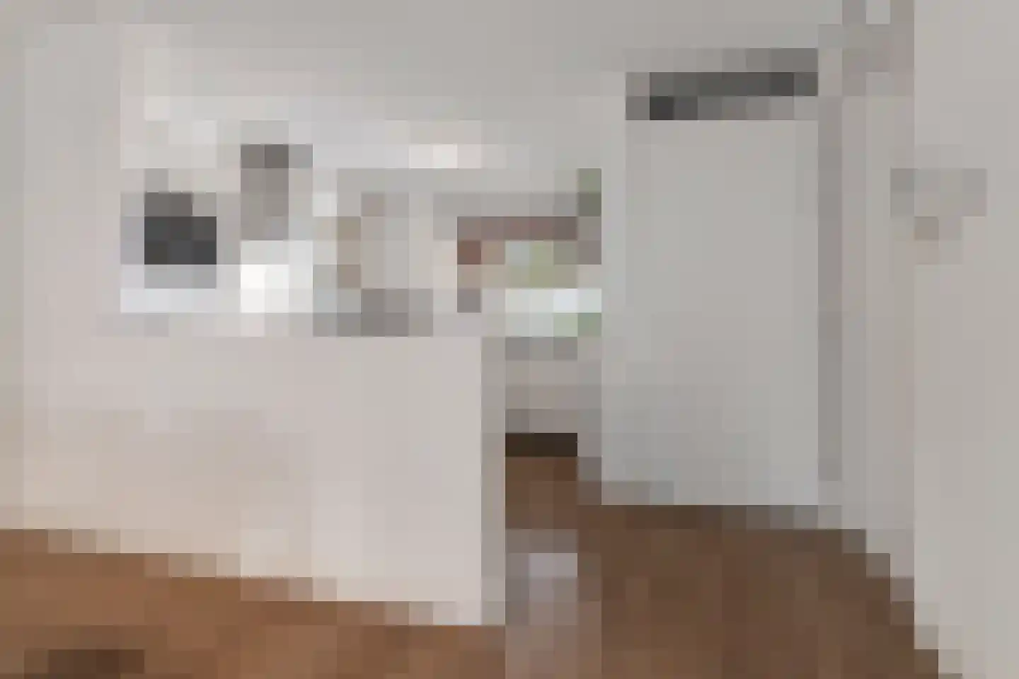 Hoge Vonderstraat 4 e Sint-Oedenrode thumbnail 10