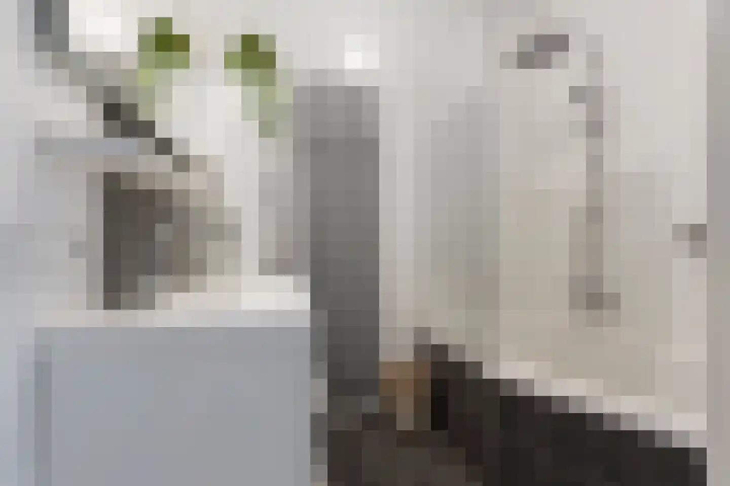 Hoge Vonderstraat 4 e Sint-Oedenrode thumbnail 18
