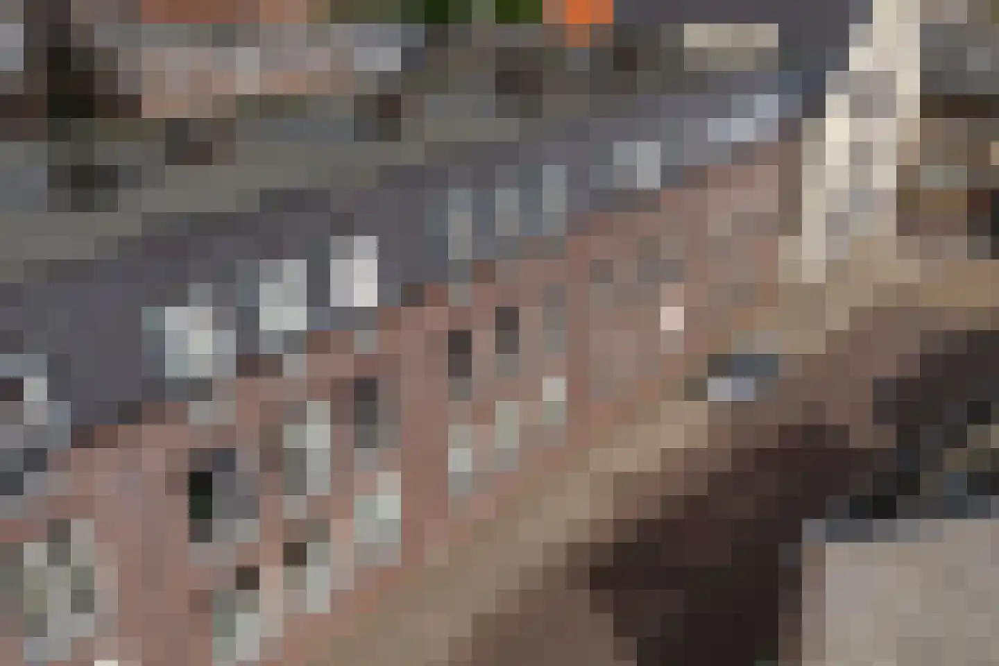 Hoge Vonderstraat 4 e Sint-Oedenrode thumbnail 35