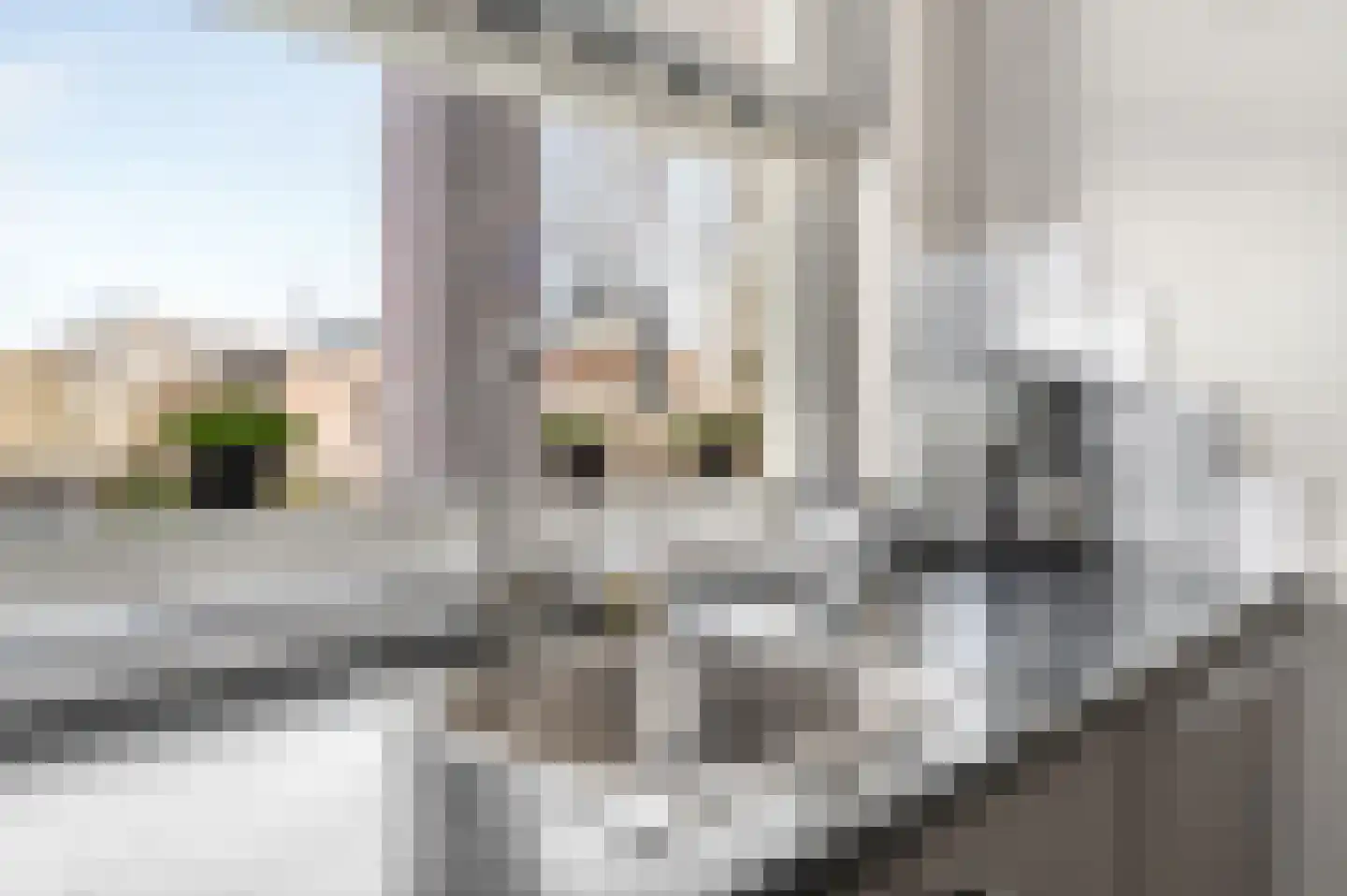 Hoge Vonderstraat 4 f Sint-Oedenrode thumbnail 13