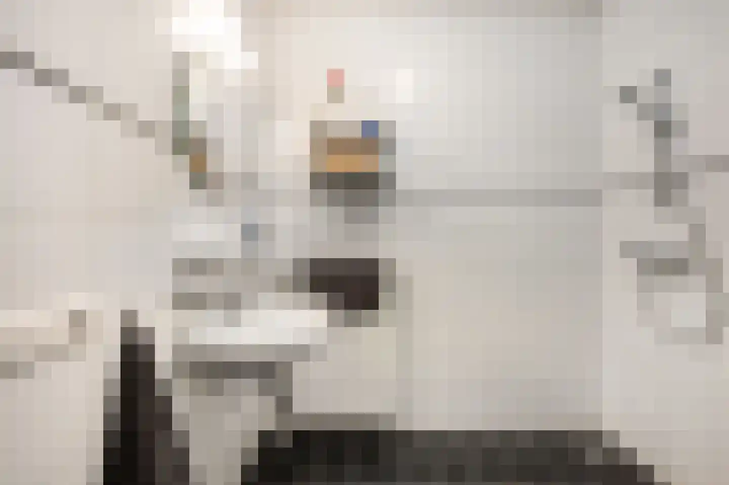 Hoge Vonderstraat 4 f Sint-Oedenrode thumbnail 18