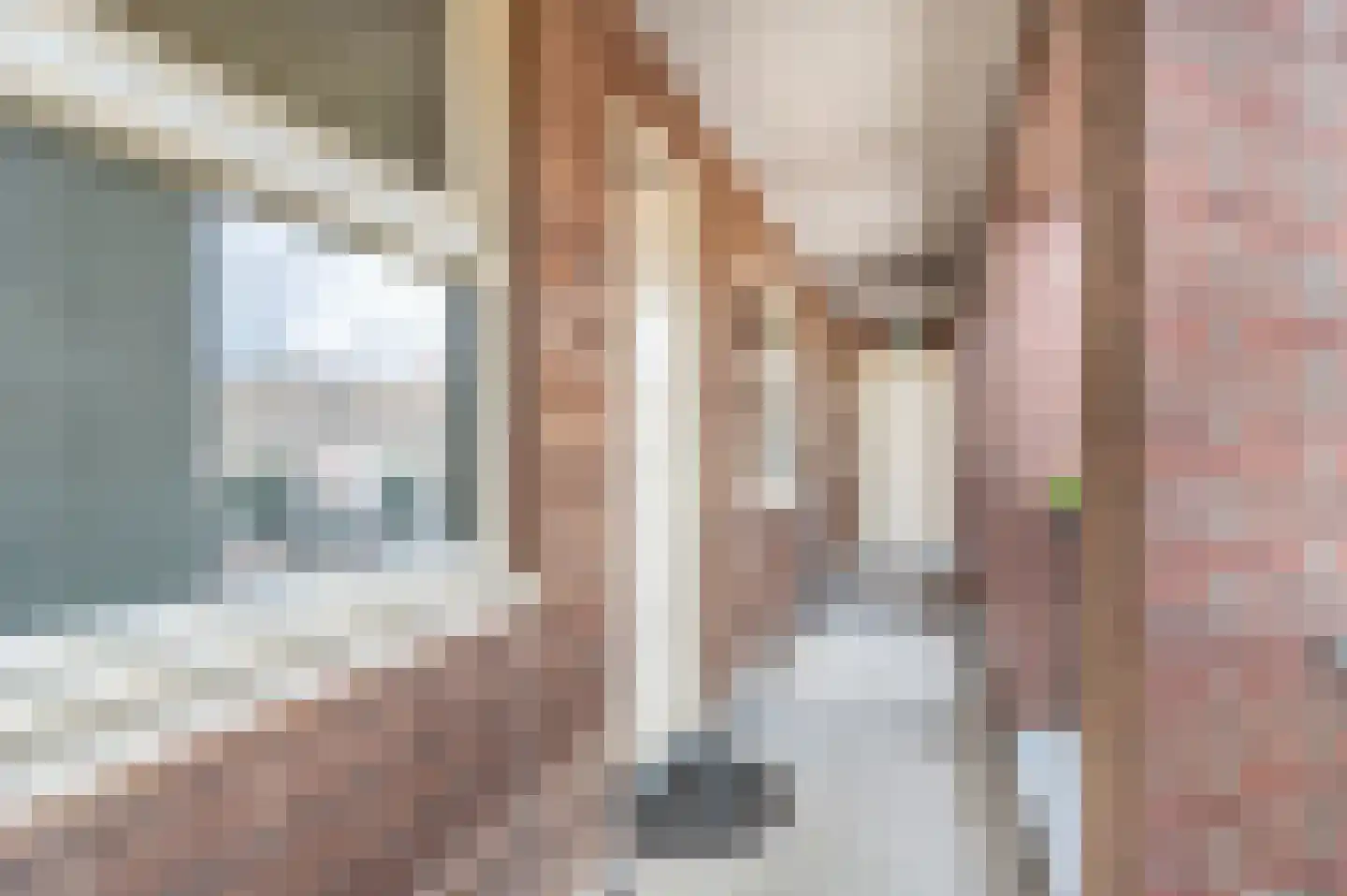Hoge Vonderstraat 4 f Sint-Oedenrode thumbnail 22