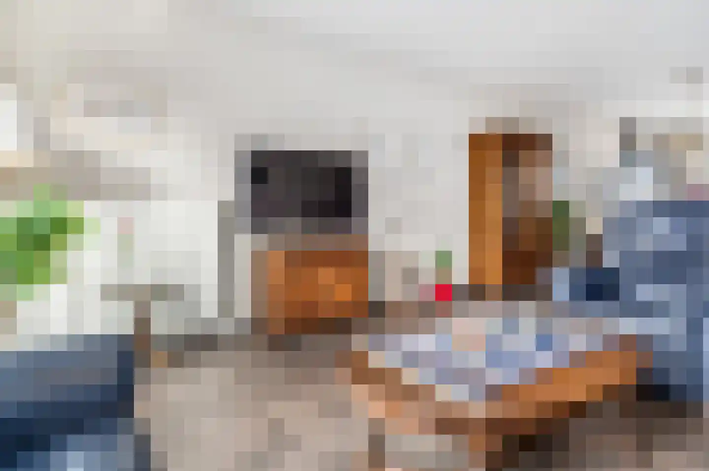 Hoge Vonderstraat 4 f Sint-Oedenrode thumbnail 9