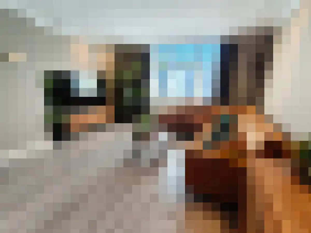 Hoge Vonderstraat 41 Sint-Oedenrode thumbnail 5