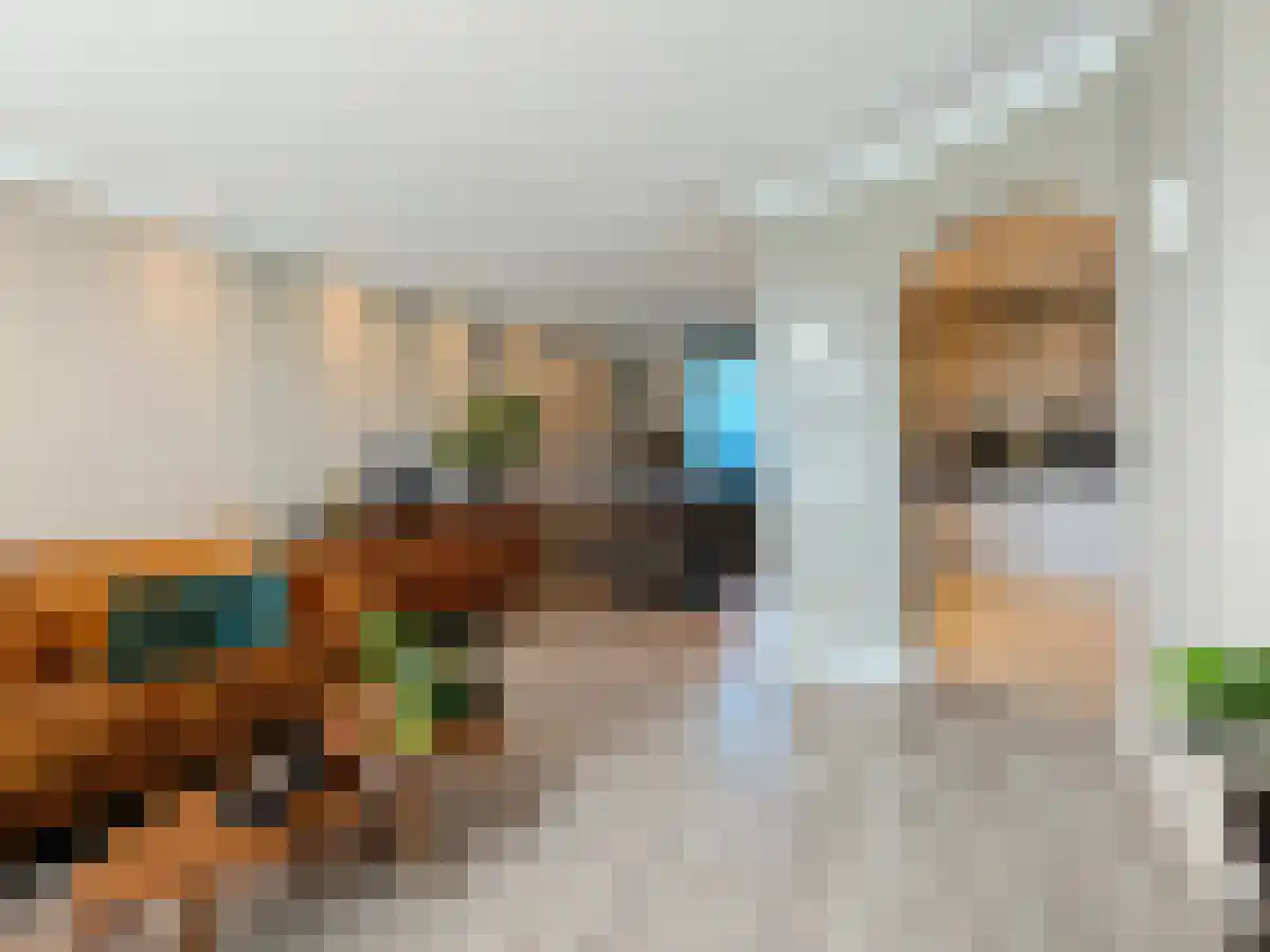 Hoge Vonderstraat 41 Sint-Oedenrode thumbnail 6