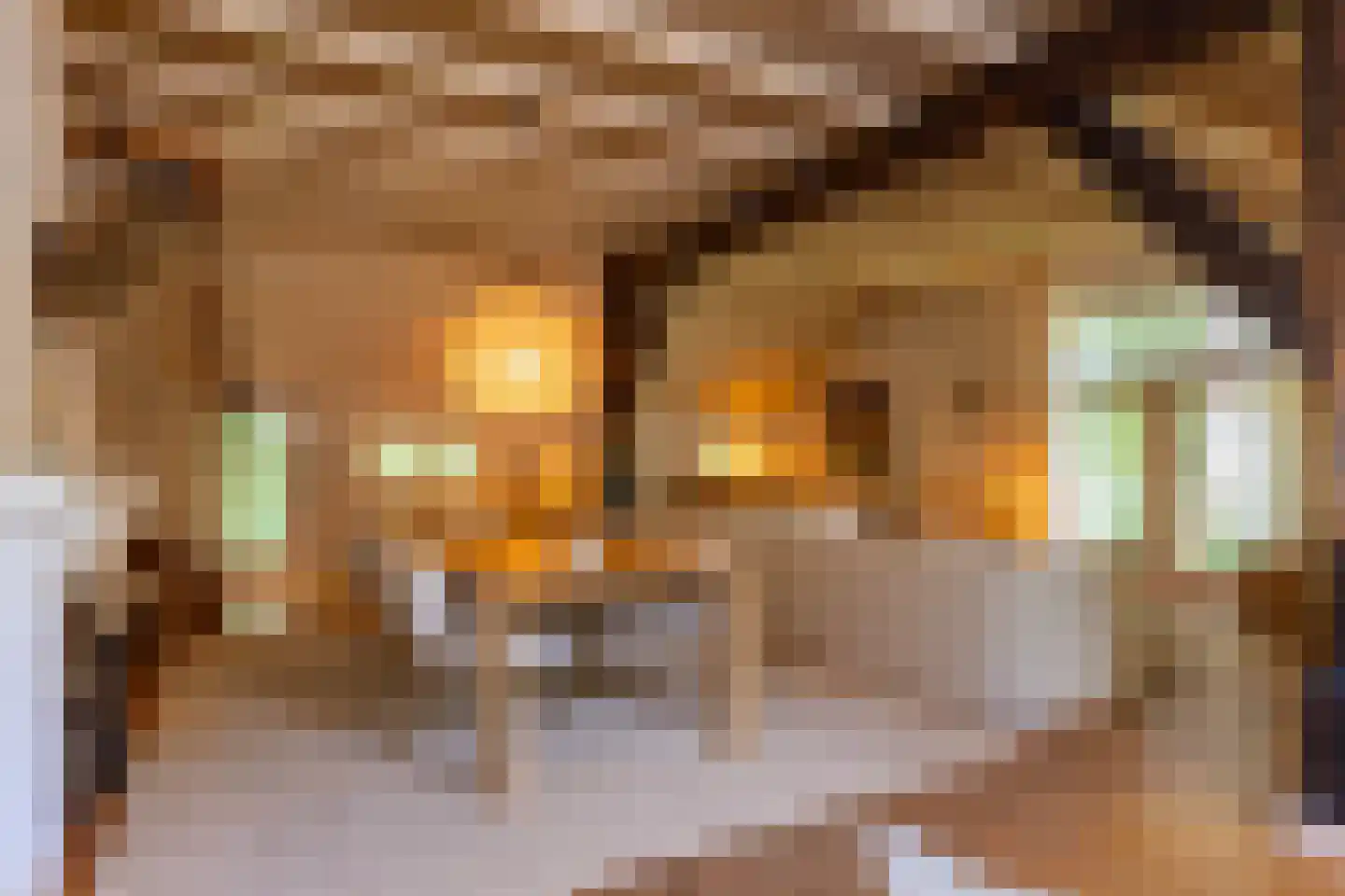 Hoge Vuurseweg 5 Lage Vuursche thumbnail 10