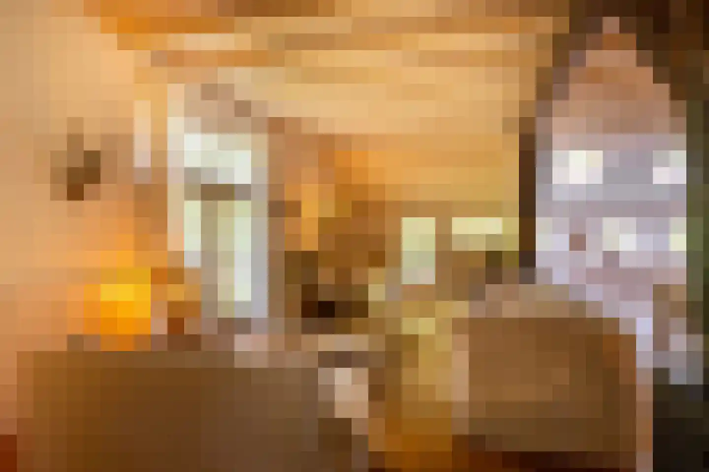 Hoge Vuurseweg 5 Lage Vuursche thumbnail 11