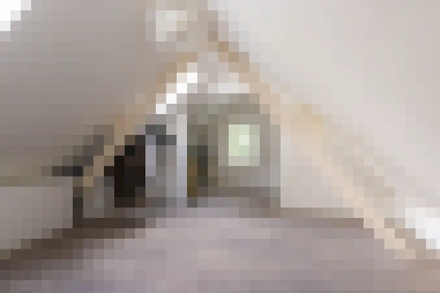 Hoge Vuurseweg 5 Lage Vuursche thumbnail 28