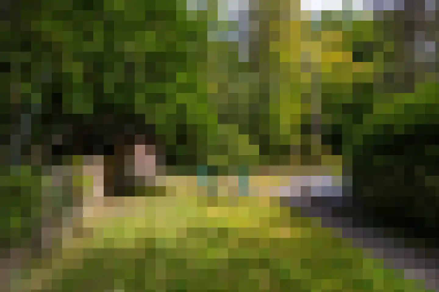 Hoge Vuurseweg 5 Lage Vuursche thumbnail 30