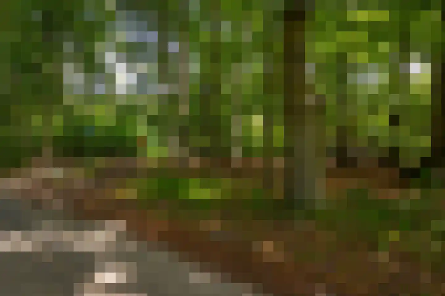 Hoge Vuurseweg 5 Lage Vuursche thumbnail 31