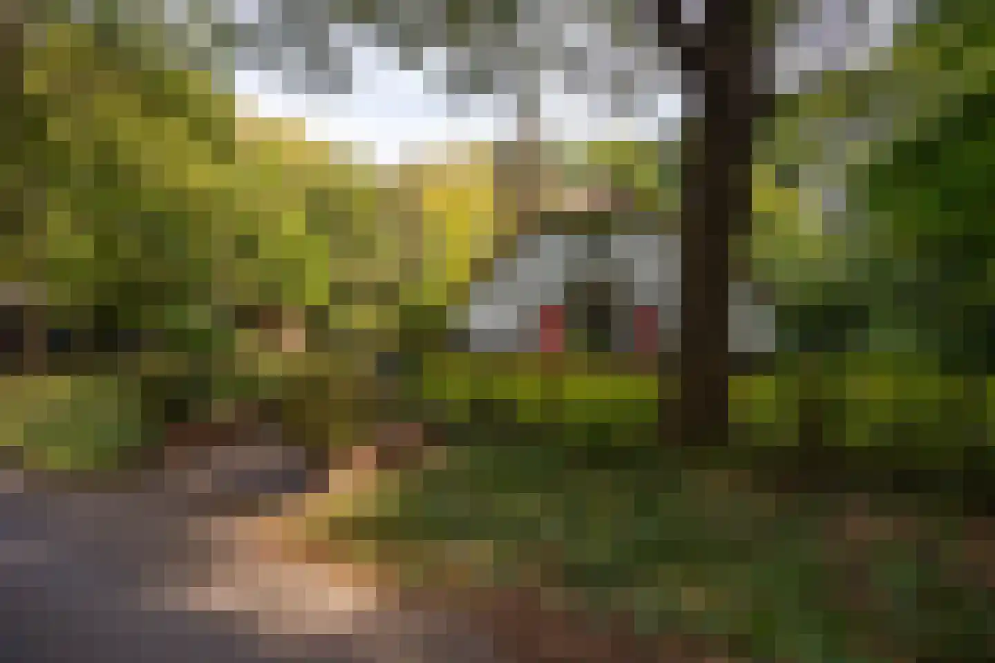 Hoge Vuurseweg 5 Lage Vuursche thumbnail 32