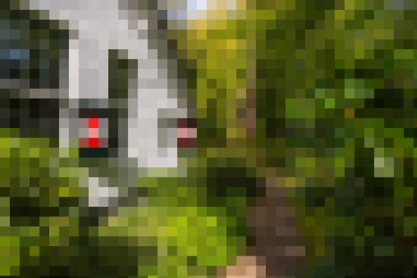 Hoge Vuurseweg 5 Lage Vuursche thumbnail 34
