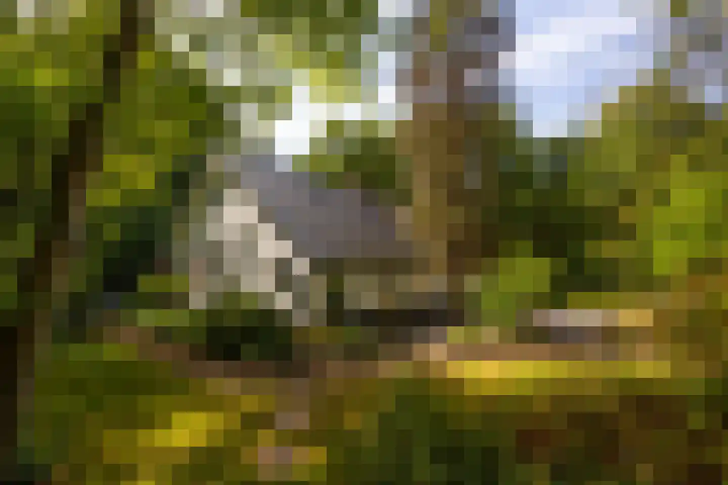 Hoge Vuurseweg 5 Lage Vuursche thumbnail 34