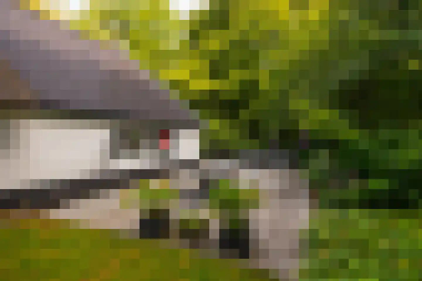 Hoge Vuurseweg 5 Lage Vuursche thumbnail 35