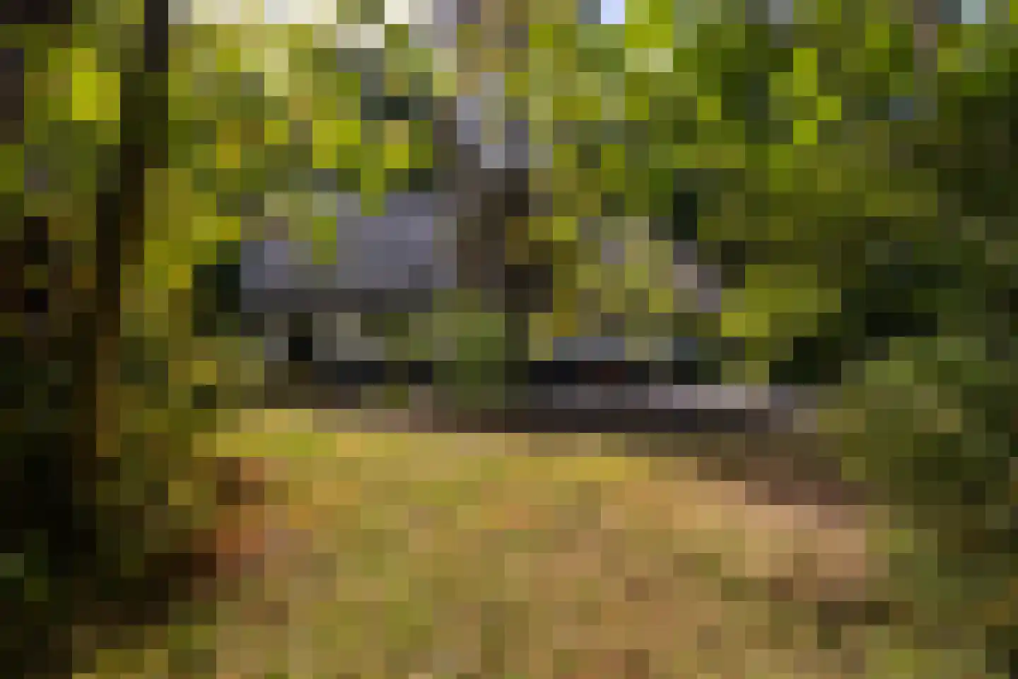 Hoge Vuurseweg 5 Lage Vuursche thumbnail 36
