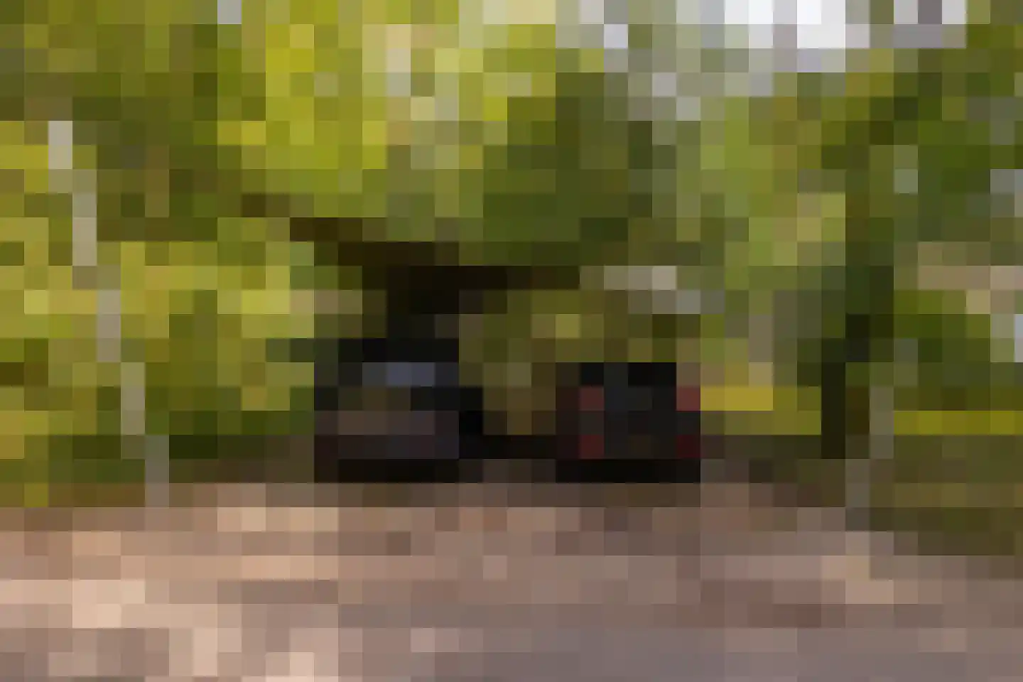 Hoge Vuurseweg 5 Lage Vuursche thumbnail 4