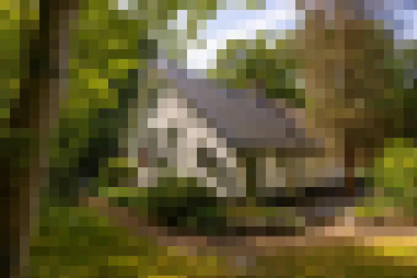 Hoge Vuurseweg 5 Lage Vuursche thumbnail 5